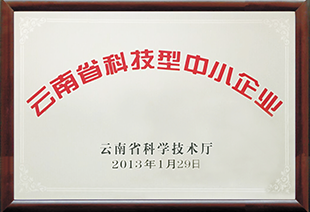 云南省科技型中小企業